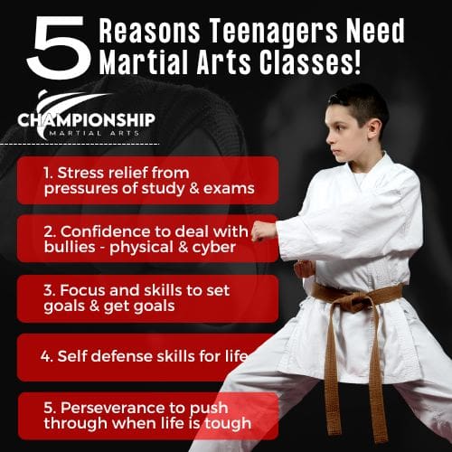 Teen Martial Arts In Port Washington